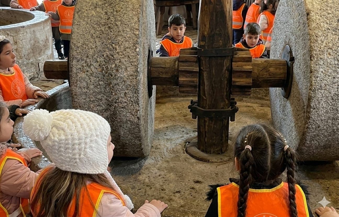 Zeytin Yağı Nasıl Üretilir? Tesiste Öğrendik